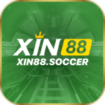 xin88