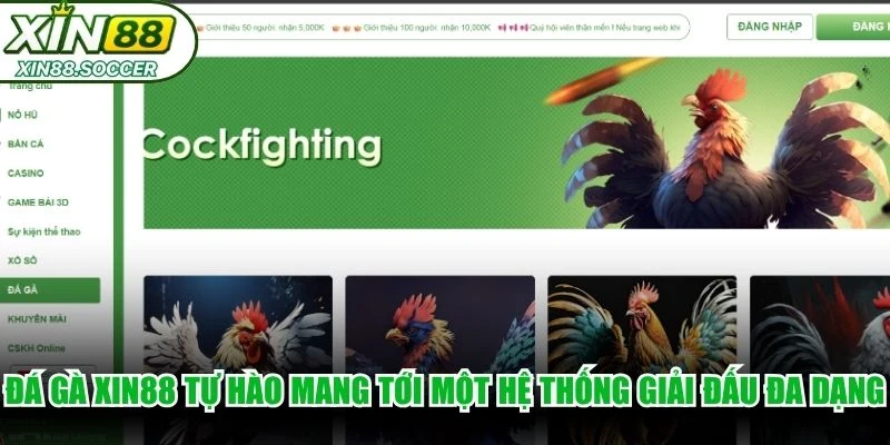 Đá gà XIN88 tự hào mang tới một hệ thống giải đấu đa dạng