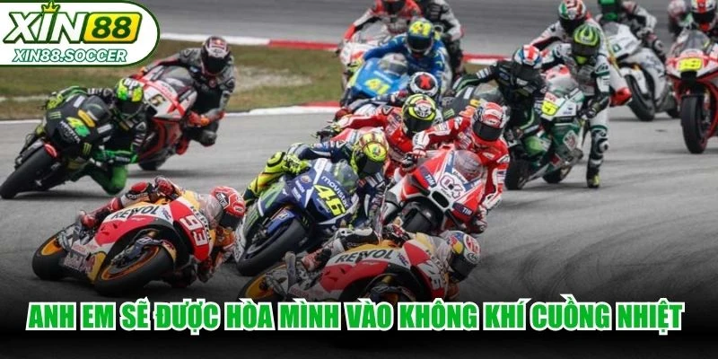 Anh em sẽ được hòa mình vào không khí cuồng nhiệt của các giải đua
